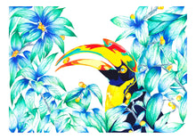 Charger l'image dans la galerie, CALAO BUCEROS SOLO