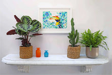 Charger l'image dans la galerie, CALAO BUCEROS SOLO