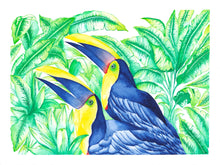 Charger l&#39;image dans la galerie, TOUCAN SWAINSON CHILLIN
